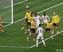 九游体育app-巴西国会骚乱约400人被捕